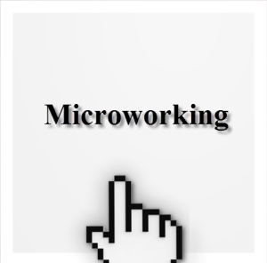 New Employment Model - Microworking